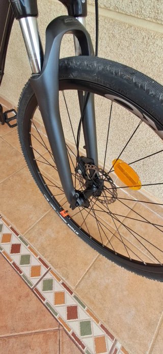 Bicicleta Riverside Gris
