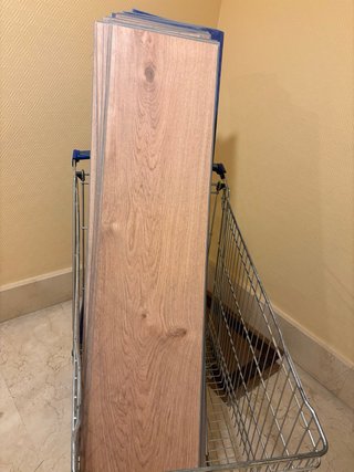 Suelo SPC 5+1mm Clase 34 Escult