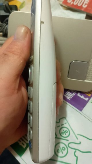 Telefono Cordless Panasonic Argento/Bianco