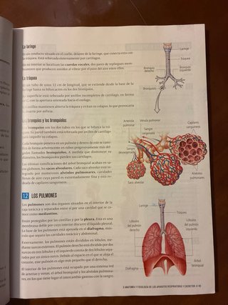 Proyecto: FanFest - Biología y Geología 3 ESO