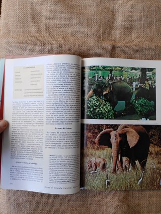 Revista de Geografia Universal