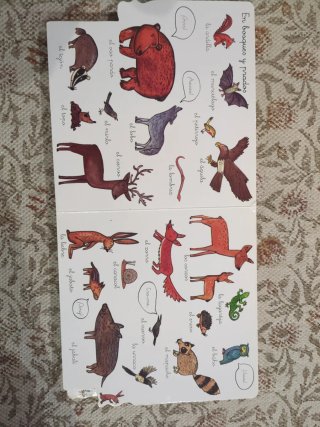 ¡Cuántos animales!