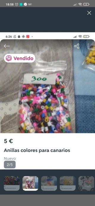 Anillas colores plástico para canarios