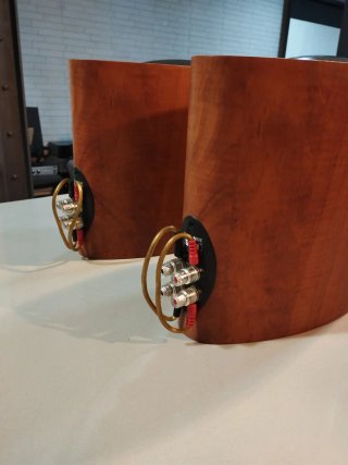 Altavoces KEF IQ-10