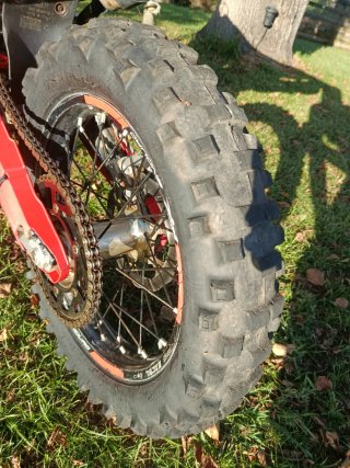 Beta RR 300