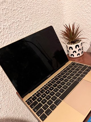 MacBook Retina 12 2017 Oro