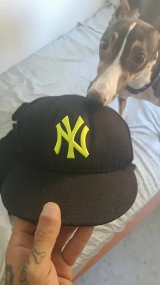 Gorra New York Yankees Negra y Amarilla