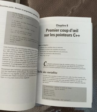 2 libri per la programmazione in C++