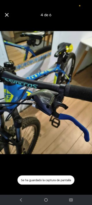 Bicicleta R29