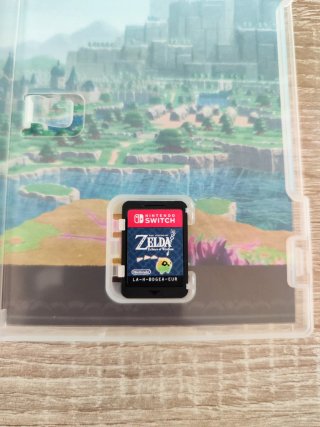 Zelda Echoes of Wisdom Nintendo switch