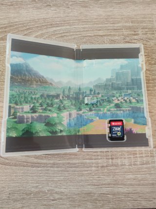 Zelda Echoes of Wisdom Nintendo switch
