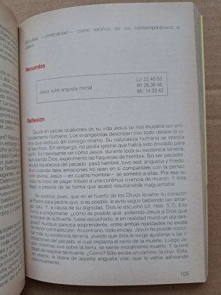 Nueva guía del país de Jesús