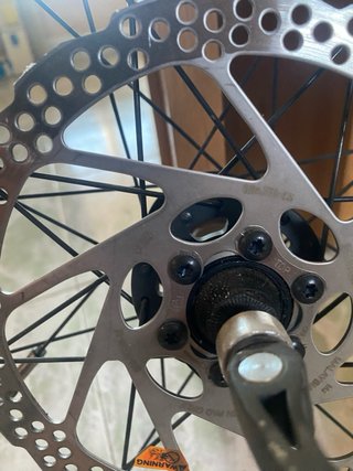 Rueda de Bicicleta 26 con Disco mavic+ xt