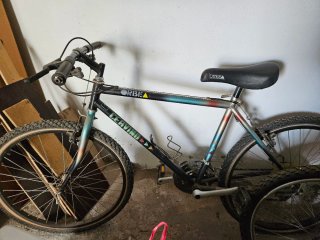 Bicicleta de Montaña Orbea Cervino