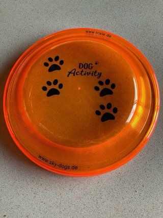 Frisbee Naranja Dog Activity