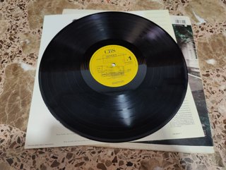 Deacon Blue When the World Knows Your Name LP