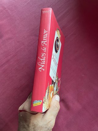 Nidos de amor la guía de los hotelitos romántic...