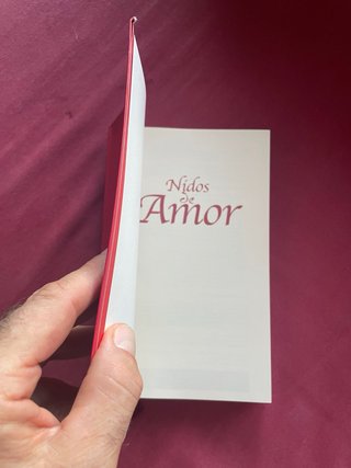 Nidos de amor la guía de los hotelitos romántic...