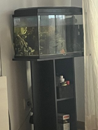 Acuario con mueble