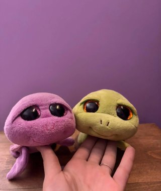 Peluches Beanie Boos