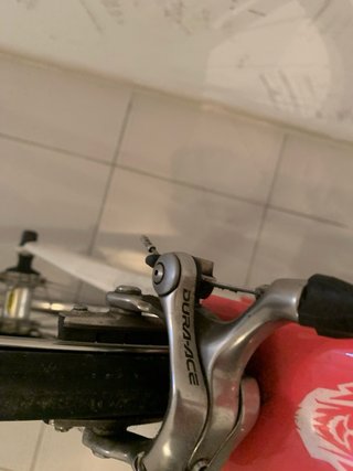 Trek Madone Customizada
