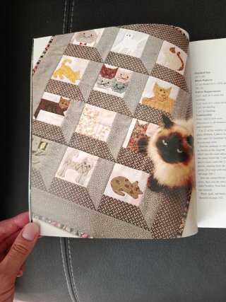 501 Quilt Blocks A Treasury of Patterns Patchwork