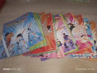 Colección de 32 DVDs de Campeones