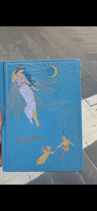 Libro Peter Pan, copertina elegantissima