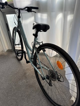 Bicicleta Riverside 120 Verde Pastel