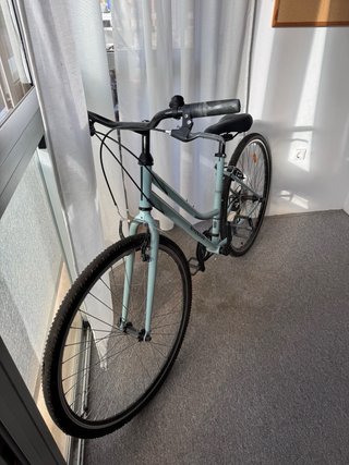 Bicicleta Riverside 120 Verde Pastel