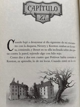 El ladrón mago