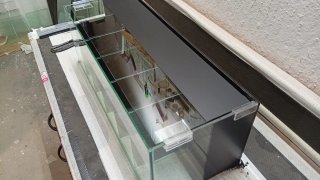 Acuario Betta 6 divisiones