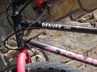 Bicicleta Denver Lady Paseo