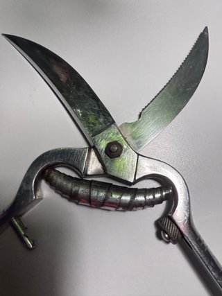 Trinciapollo Vintage Ausonia Maniago Acciaio