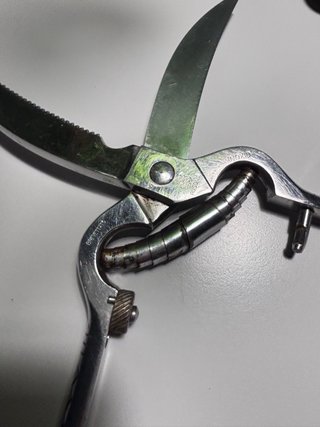 Trinciapollo Vintage Ausonia Maniago Acciaio