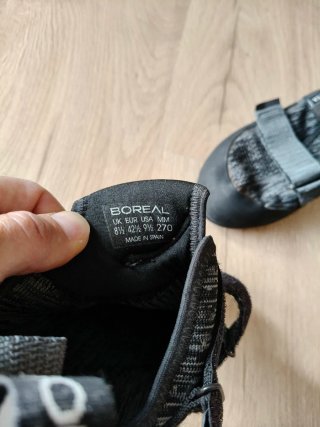 Pies de gato Boreal Beta