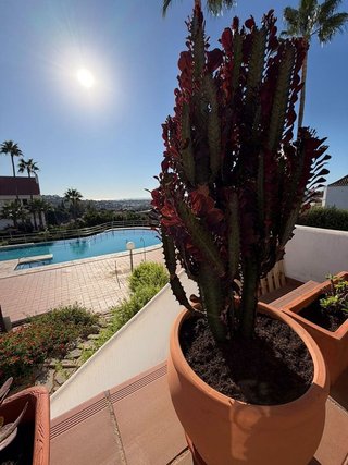 Piso en alquiler en Mijas Golf en Mijas