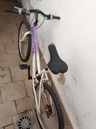 Bicicleta infantil TOPBIKE 24