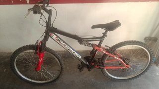 Bicicleta Montaña Freerider