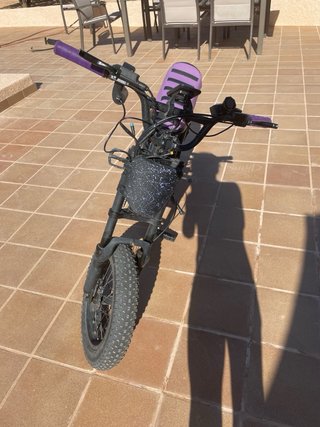 Bicicleta Eléctrica