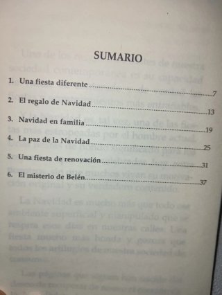 Vivir la Navidad . La hora de los laicos. Pagoda.