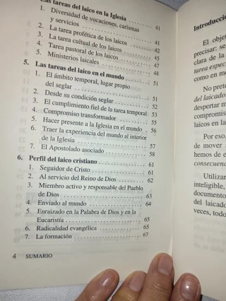 Vivir la Navidad . La hora de los laicos. Pagoda.
