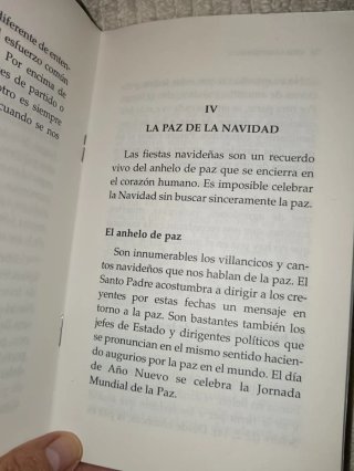 Vivir la Navidad . La hora de los laicos. Pagoda.