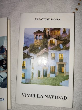 Vivir la Navidad . La hora de los laicos. Pagoda.