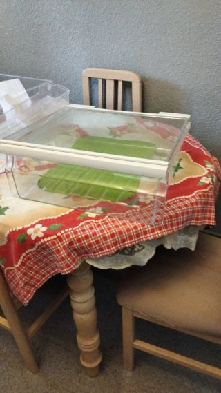 Accesorios para frigorífico