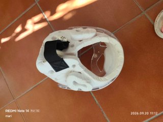 Casco Taekwondo Infantil