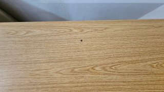 Escritorio madera c/estantes y bandeja