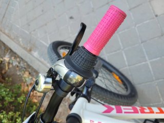 Bicicleta Infantil Trek Precaliber 24