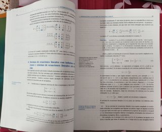 Introducción al álgebra lineal para administrac...