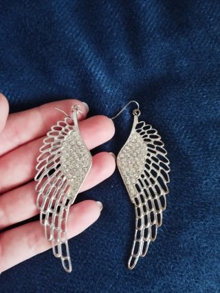 Pendientes alas brillantes plata